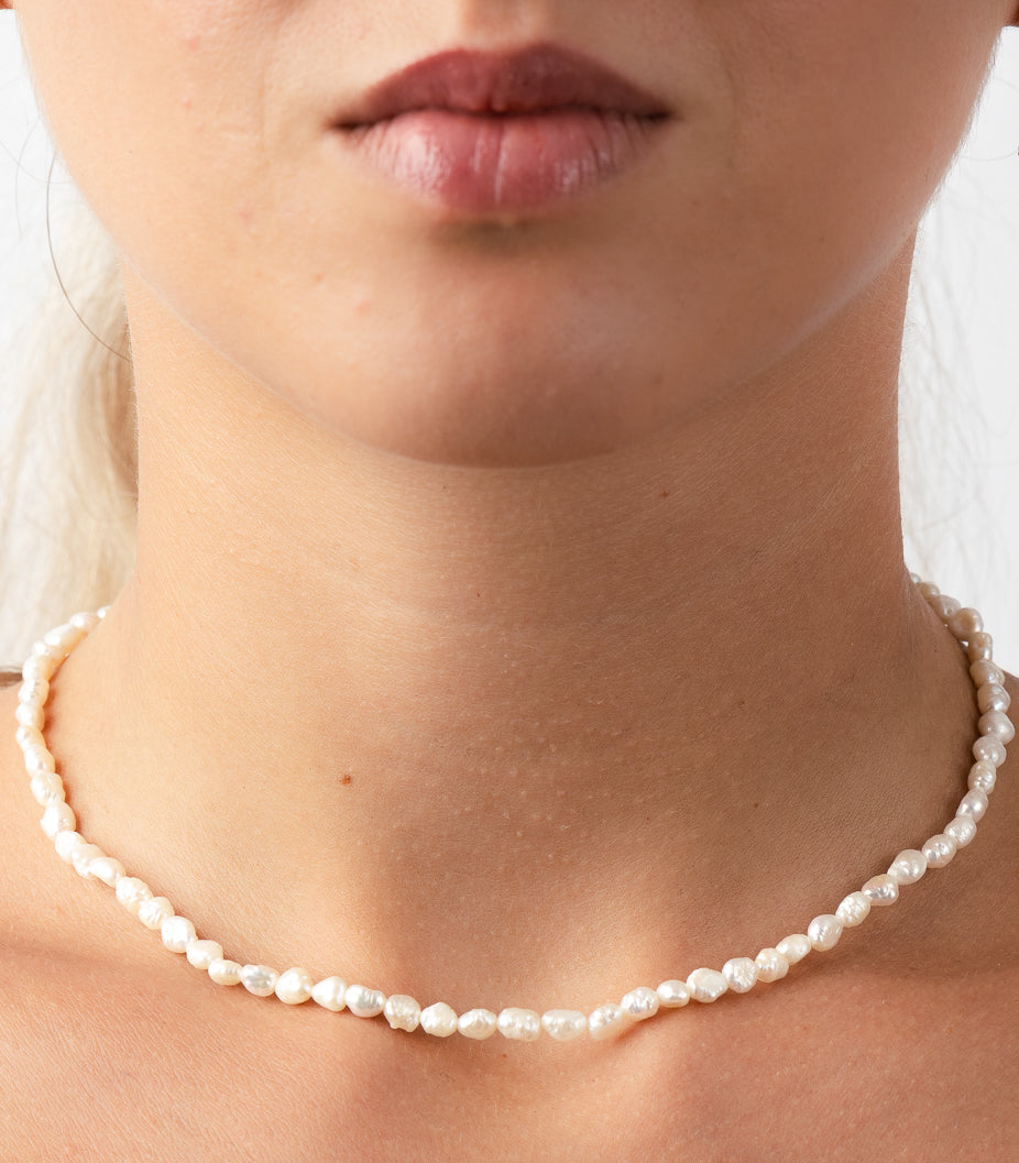 Collezione Estia