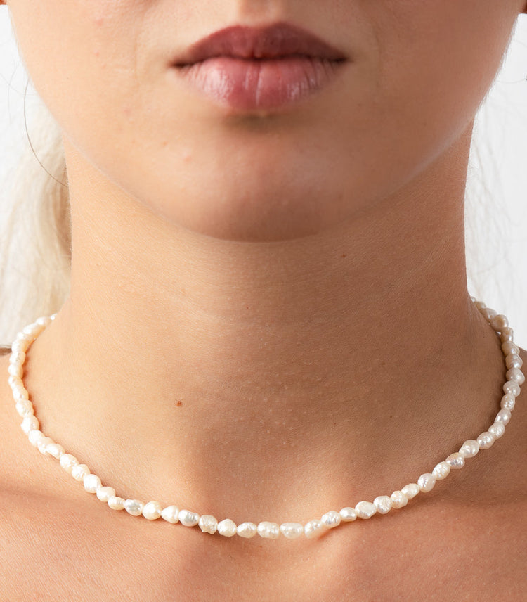 Collezione Estia